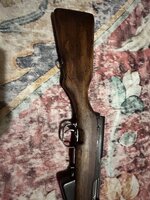 IMG_6245.jpeg