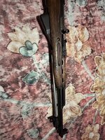IMG_6246.jpeg