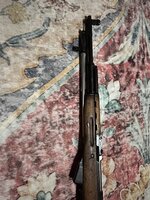 IMG_6240.jpeg