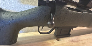 IMG_7937.jpeg