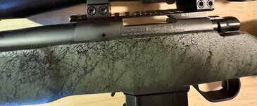 IMG_7940.jpeg