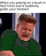 1722392222355.png