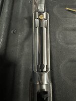 IMG_2121.jpeg
