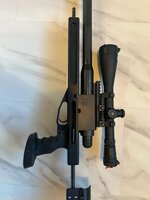 IMG_2411.jpeg