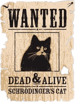 schrodingers_cat_poster.png