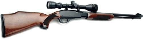 Remington-fieldmaster-BDL-22LR-rifle.jpg