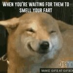 fart-farts.jpg