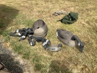 IMG_1295.jpeg