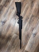 IMG_8297.jpeg