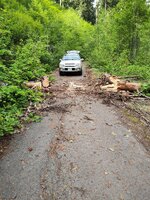 snag suv.jpg