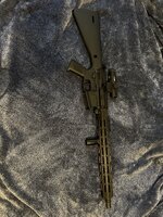 IMG_5945.jpeg