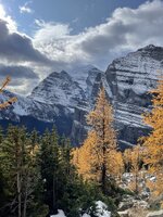 IMG_2156.jpeg