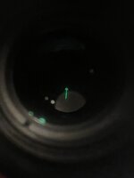IMG_2465.jpeg