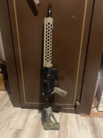IMG_6334.jpeg