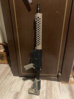 IMG_6335.jpeg