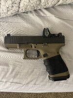 IMG_2319.jpeg
