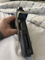 IMG_2321.jpeg