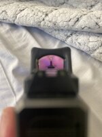 IMG_2320.jpeg