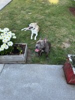 IMG_4332.jpeg