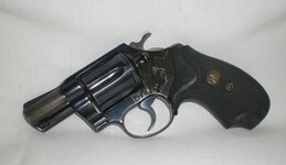 colt1.JPG