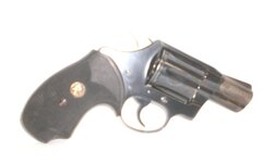 colt3.JPG