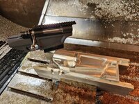 1000003007.jpg