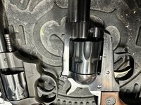 IMG_9766.jpeg