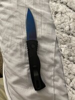 IMG_2334.jpeg