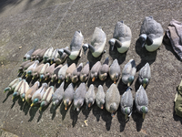 1000000421.png