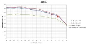 IMG_8465.jpeg