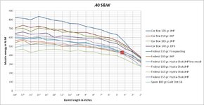 IMG_8322.jpeg