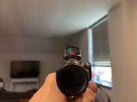 IMG_4507.jpeg