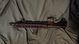 IMG_1137.jpeg
