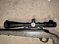 IMG_4488.jpeg