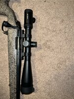 IMG_4487.jpeg