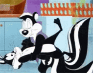 pepe-le-pew-penelope.gif