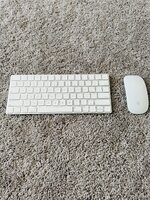 IMG_6609.jpeg