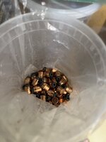 IMG_8820.jpeg