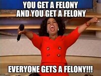 Felony.jpg