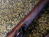 IMG_0826.jpeg