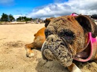 IMG_7705.jpeg