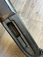 IMG_5538.jpeg
