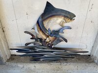IMG_3581.jpeg