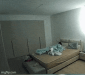 tent%2Fuploads%2F2024%2F09%2Fdaily_gifdump_4802_22.gif