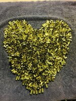 IMG_1004.jpeg