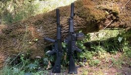 IMG_7256.jpeg
