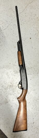 IMG_3424.jpeg