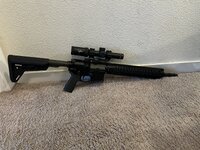 IMG_5713.jpeg