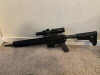 IMG_5716.jpeg