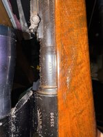 IMG_9196.jpeg